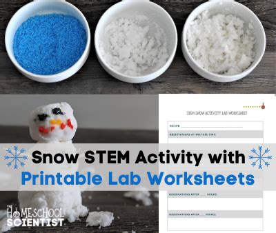 Fun & Easy Snow STEM Experiment for Kids: Testing 3 Fake Snow Recipes - The Homeschool Scientist