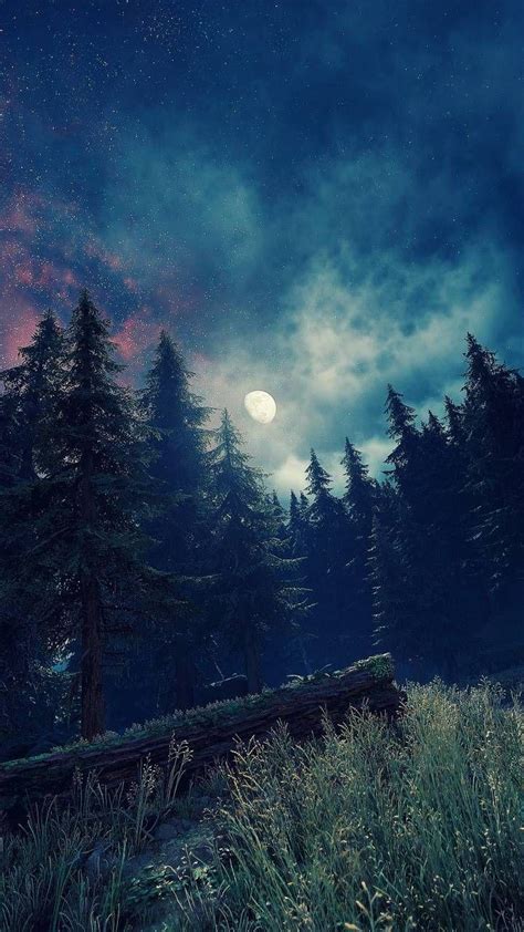 Forest Moon Wallpapers - Top Free Forest Moon Backgrounds - WallpaperAccess