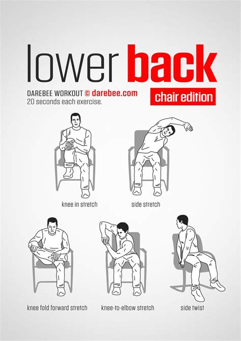 Lower back exercises, Exercise, Office exercise