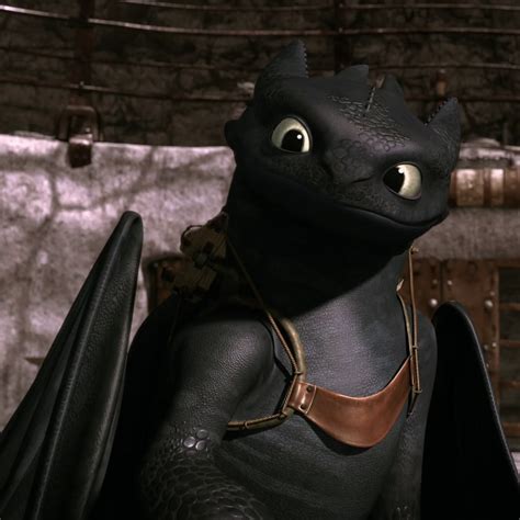 Toothless - DreamWorks Dragons: Riders of Berk Photo (33658060) - Fanpop