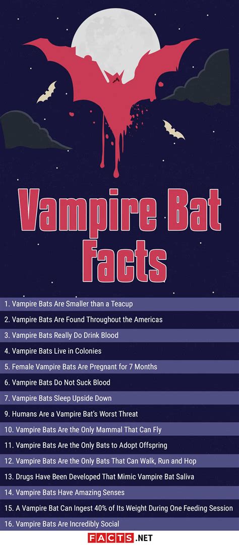 Top 15 Vampire Bat Facts - Size, Diet, Range & More - Facts.net