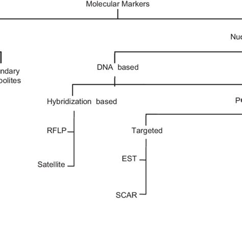 Classification of markers. | Download Scientific Diagram