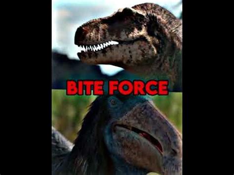 T-Rex VS Deinocheirus [Who Is Strongest]#dinosaur #trex #vsedit #viral #shorts #trending #edit ...