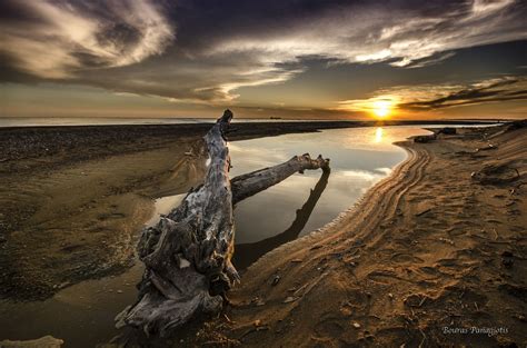 The driftwood... | Driftwood, Nature photographs, Sunset