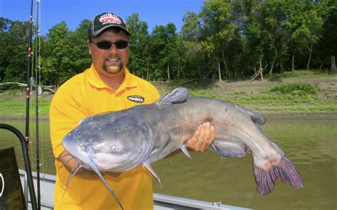 Catching Summer Catfish | Quimby's Cruising Guide