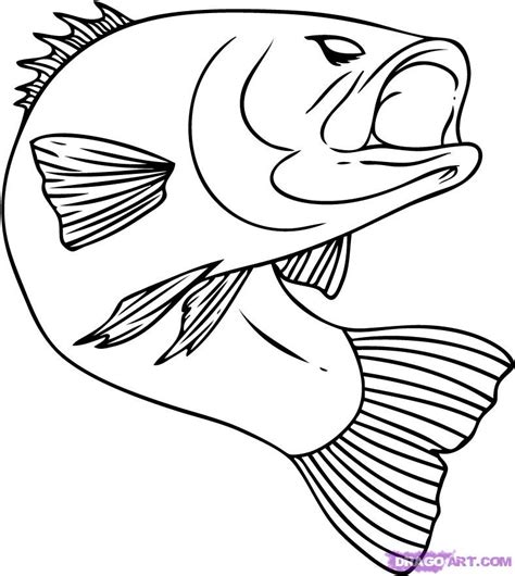 Free Fish Line Drawings, Download Free Fish Line Drawings png images, Free ClipArts on Clipart ...