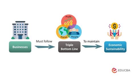 What is the Triple Bottom Line? 3 Ps, Examples & Importance