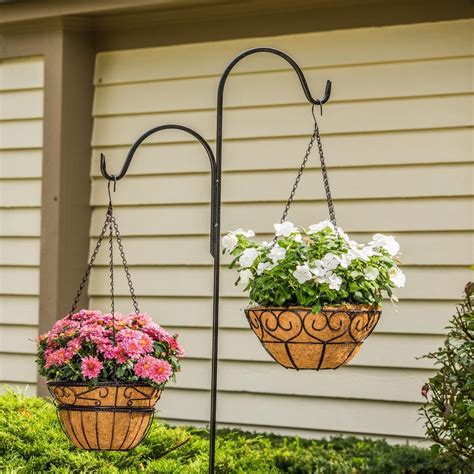 Outrageous Home Depot Plant Hangers Outdoor Hanging Petunias For Sale ...