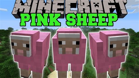 Minecraft: PINK SHEEP (MAJESTIC PINK SHEEP FOREST BIOME!) Showcase - YouTube