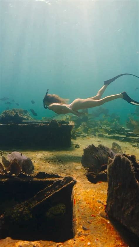 Have you ever explored a sunken ship underwater? [Video] in 2023 ...