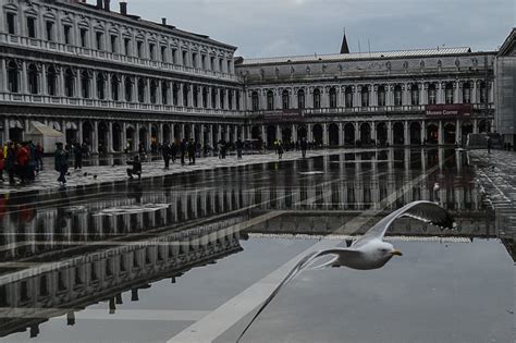 Piazza San Marco flooded by Caterina · 365 Project