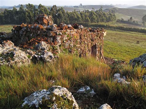 The Rock House - Greenroofs.com