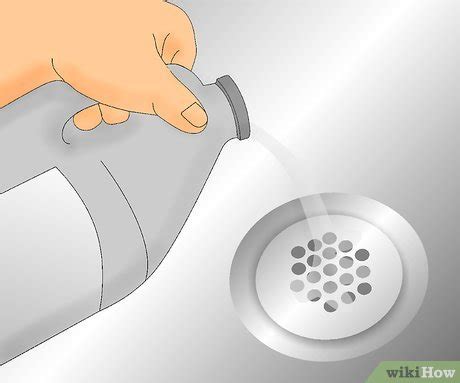 4 Ways to Get Rid of Drain Flies - wikiHow