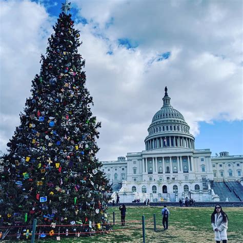 Washington Dc Christmas Tree Lighting 2017 | Home Design Ideas