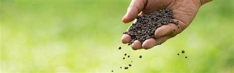 Methods of fertilizer application - New-Nutri