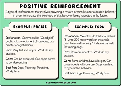 21 Positive Reinforcement Examples that Work! (2024)