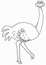 Mother And Babies Ostrich Coloring Page  Free Printable Pages sketch template