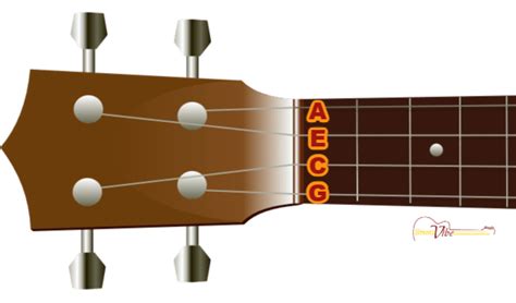 The Complete Guide to Ukulele String Notes, Names and Numbers - StringVibe