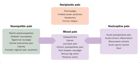 British Journal of Nursing - The pathophysiology, assessment, and management of acute pain