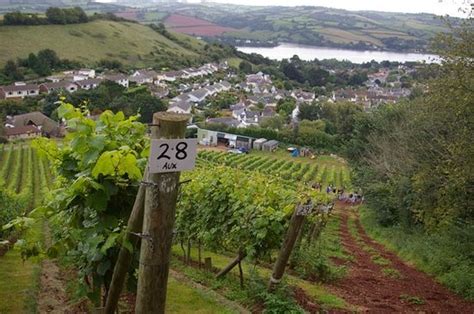 Old Walls Vineyard (Bishopsteignton) - 2021 All You Need to Know Before You Go (with Photos ...