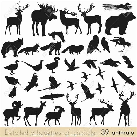 Collection of vector detailed silhouettes of forest animals , #AD, # ...