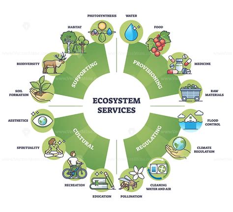 Ecosystem services and nature based ecological solutions outline diagram – VectorMine