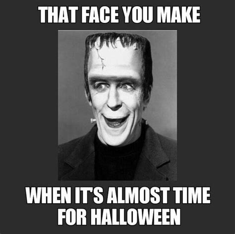 Halloween Memes 2022 to Make You Howl with Laughter | Funny halloween memes, Halloween memes ...