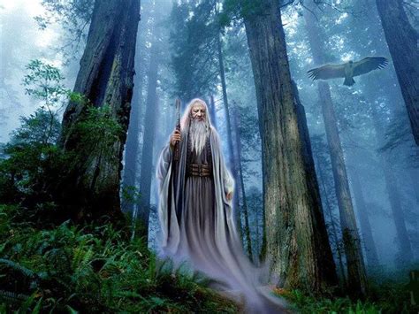 Druid and forest Wicca, Era Viking, Mago Merlin, Roi Arthur, King Arthur, Celtic Druids, Greek ...