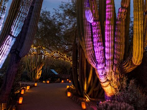 Stroll Through Magical Botanical Gardens Glowing With Thousands Of Lights At Las Noches De Las ...