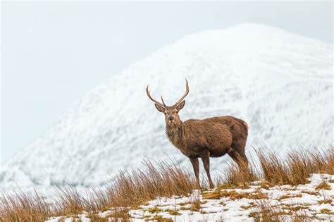 Snow Photography Tips: How to Take Photos in Snow