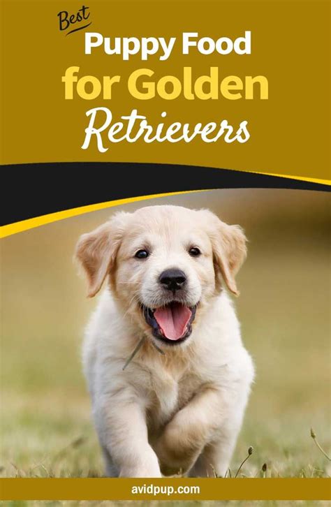 Best Puppy Food for Golden Retrievers,.. (7 top picks) #dogfood # ...