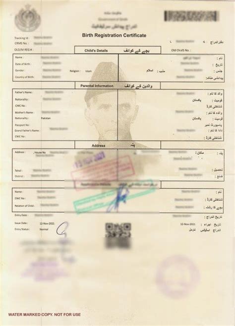 Nadra Birth Certificate in 2022 | Birth certificate, Certificates ...