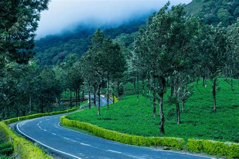 Now experience the Western Ghats through India's first canopy walk ...