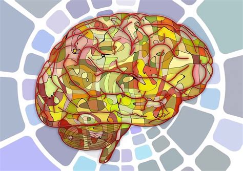 Identifying the Neural Signature of Healthy Brain Aging - Neuroscience News