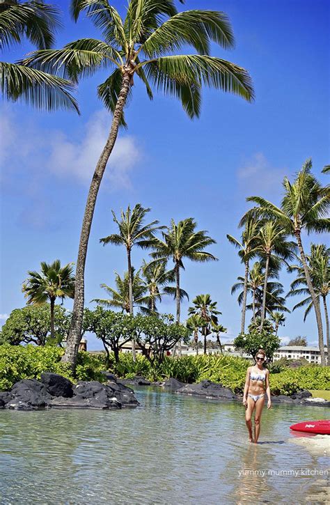 Grand Hyatt Kauai Review | Grand hyatt kauai, Kauai, Kauai beach resort