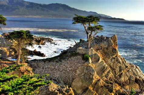 "Lone Cypress at Pebble Beach" by Paul J. Owen | Redbubble