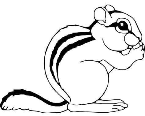 Cute Animal Chipmunk Printable Coloring Sheet