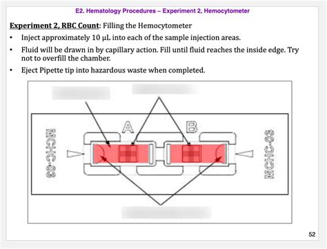 RBC Count Diagram | Quizlet