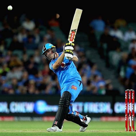 Phil Salt returns to Adelaide Strikers for BBL 10