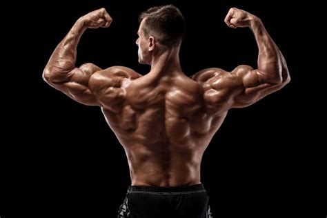 How Your Testosterone Levels Impact Muscle Growth