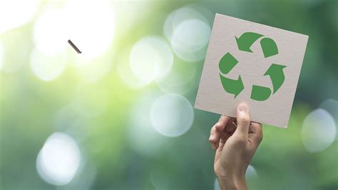 How Sustainable Is Paperboard? What You Need to Know