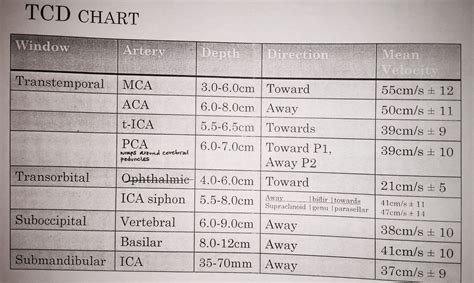 Transcranial Doppler TCD chart Vascular Ultrasound, Sonographer, Medical Science, Radiology ...