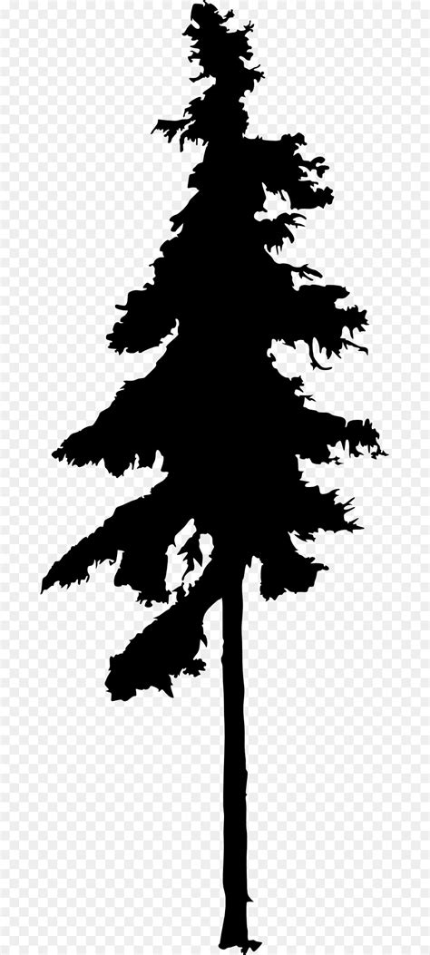 Free Cedar Tree Silhouette, Download Free Cedar Tree Silhouette png ...