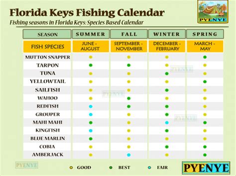 5 Secrets of Kayak Fishing in The Florida Keys | PyeNye