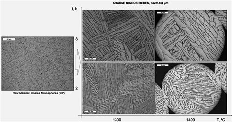 Microstructure of the Ti–6Al–4V microspheres (CP) before and after the ...