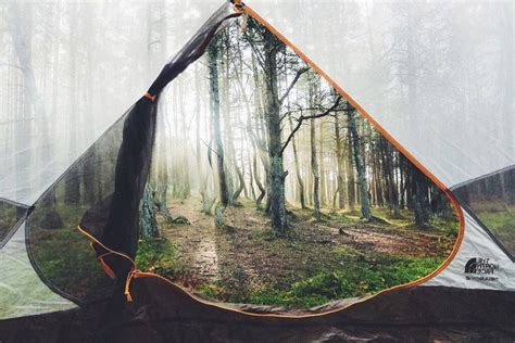 A View From A Tent Photo | Camping and hiking, Go camping, Camping inspiration