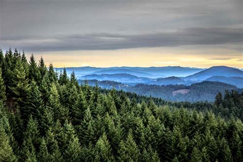 10 Top Things to Do in Eugene, Oregon