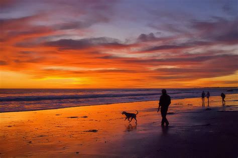 Vote - Arroyo Burro Beach Park - Best Dog Friendly Beach Nominee: 2016 10Best Readers' Choice ...