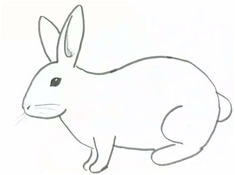 Easy Rabbit Drawing for Kids