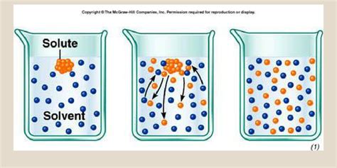 Solubility Infographic - Infogram